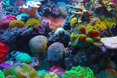 Hurghada e Mar Vermelho