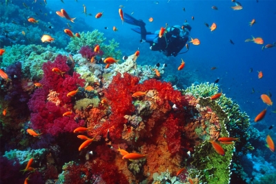 Hurghada por la noche